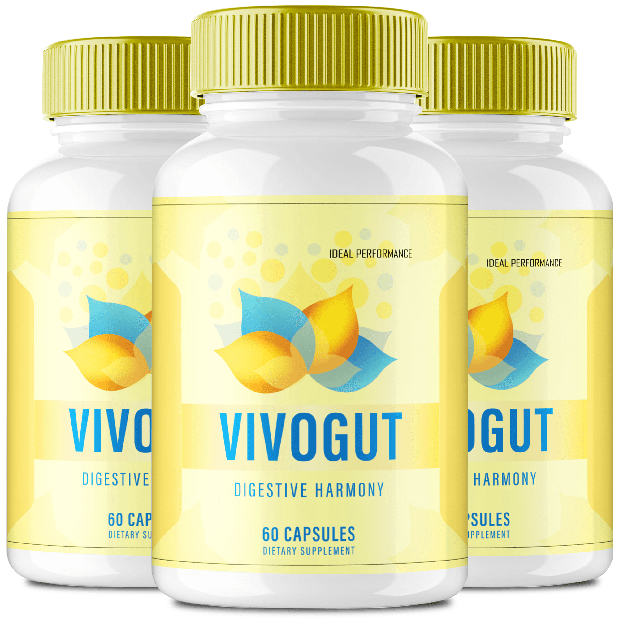 VivoGut